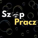 Profesjonalne Pranie Tapicerki Domowej i Samochodowej Bieruń