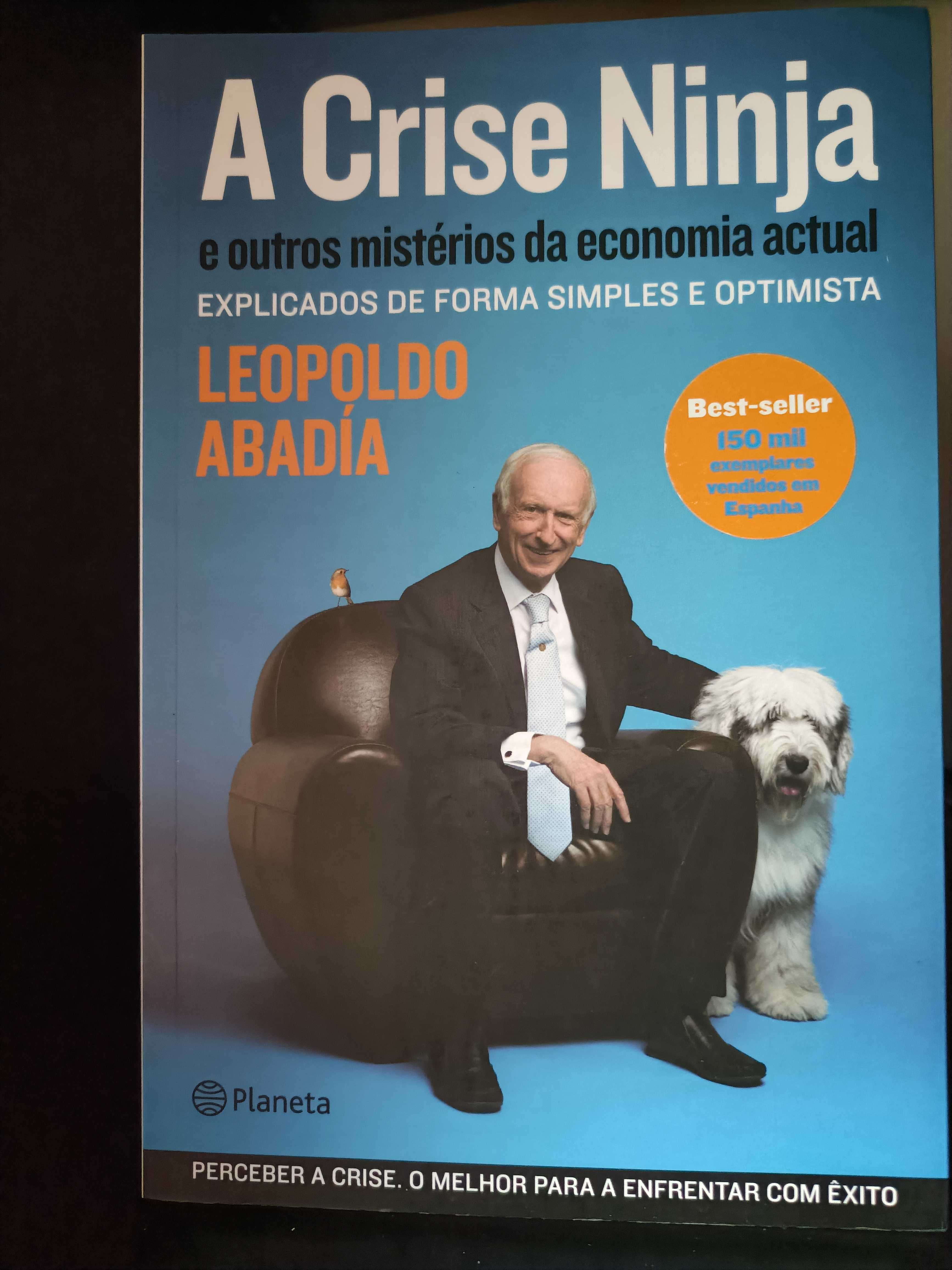 Tópicos para Uma Catástrofe/A Crise Ninja
