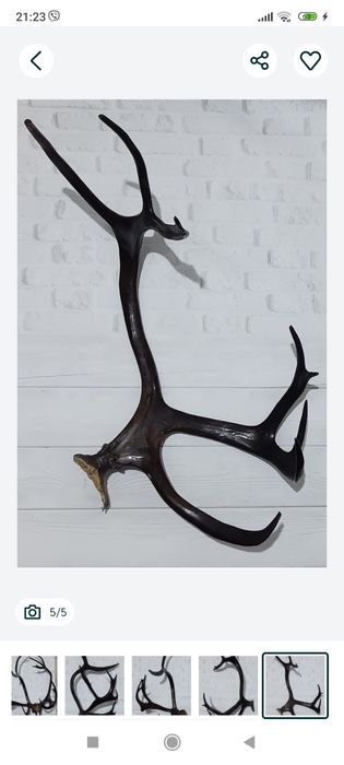 Рога интерьер декор вешалка.