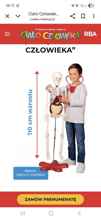 Kostek ciało człowieka