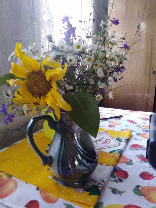 Дача та  земельна ділянка