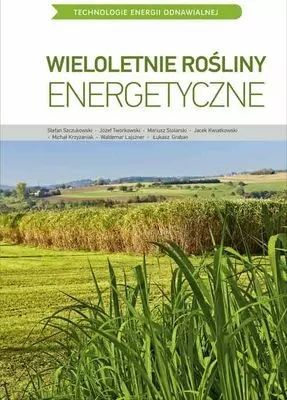 Wieloletnie rośliny energetyczne. Multico