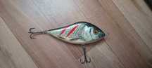 Salmo slider16 WRGS
