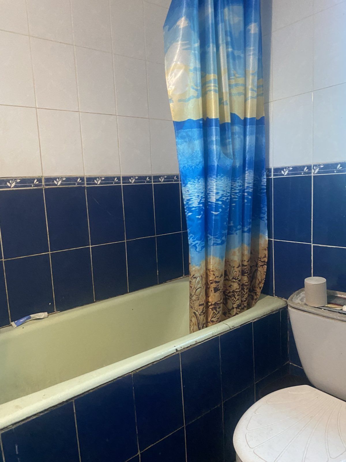 Каменный дом в Беляевке