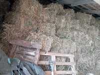 Vendo feno a 6€ ao fardo