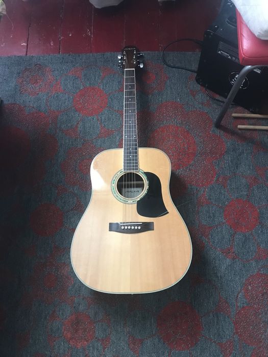 Акустична гітара Aria