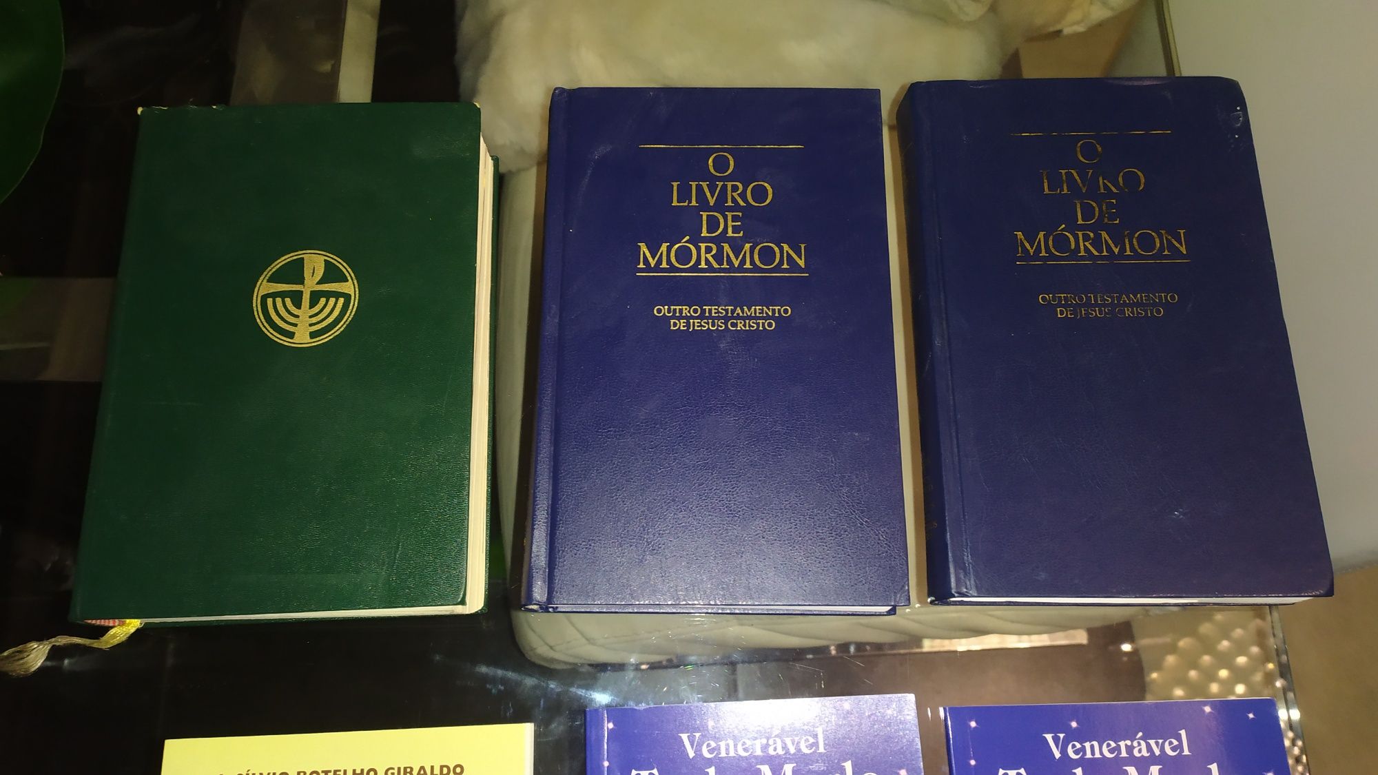 Livros religiosos : bíblia sagrada de 1988 , 2 livro de mórmon etc..