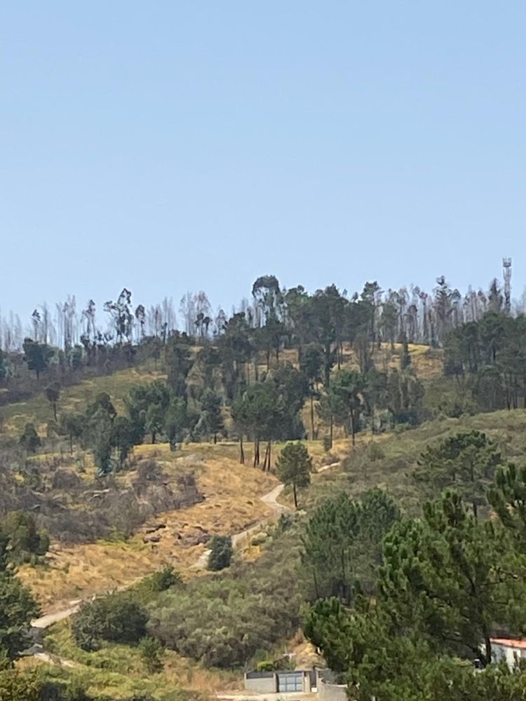 4 Lotes de terreno rusticos 2 com possibilidade construcao