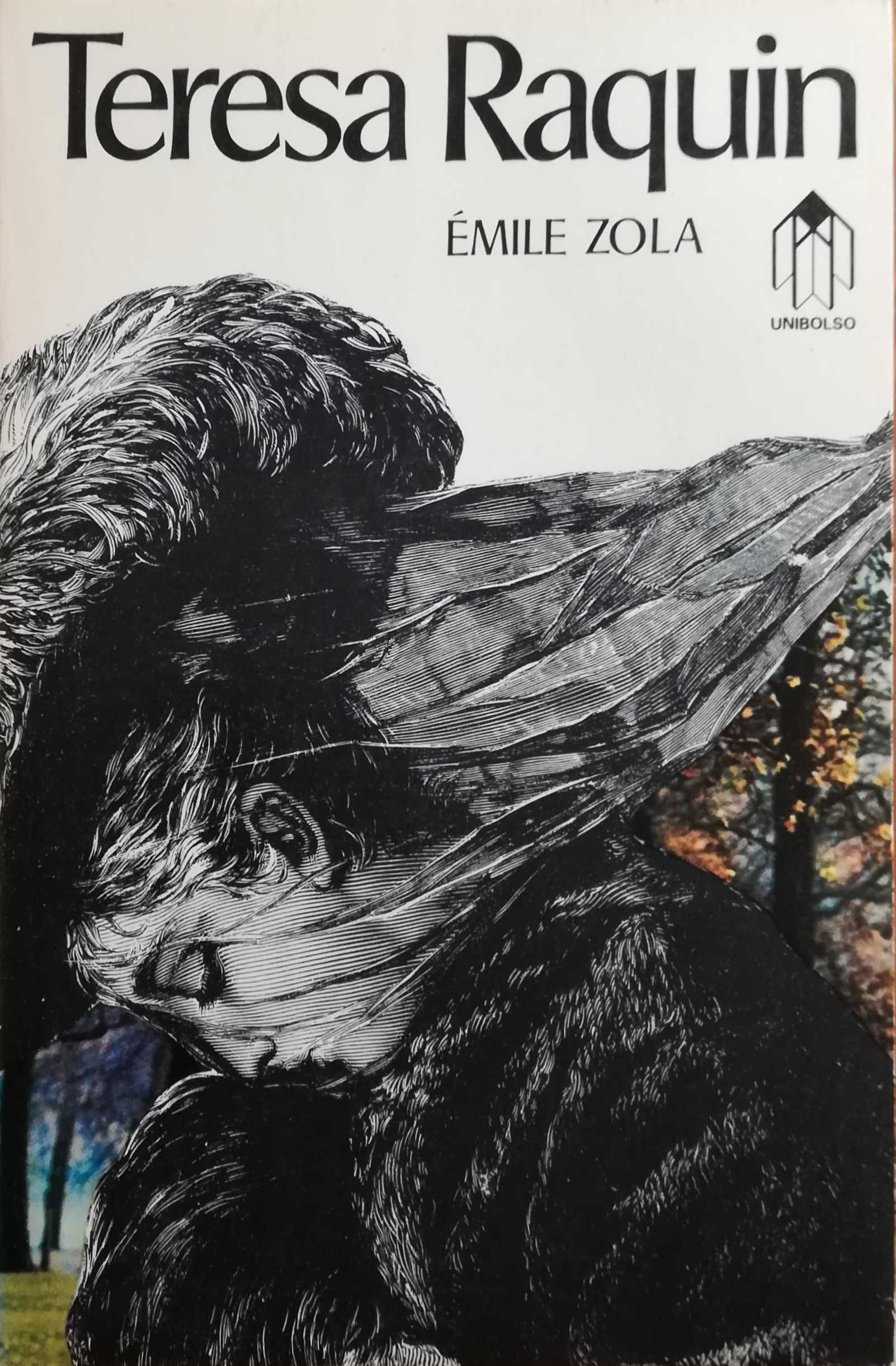 Livro - Teresa Raquin - Émile Zola