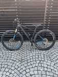 Bulls Copperhead Carbon     29