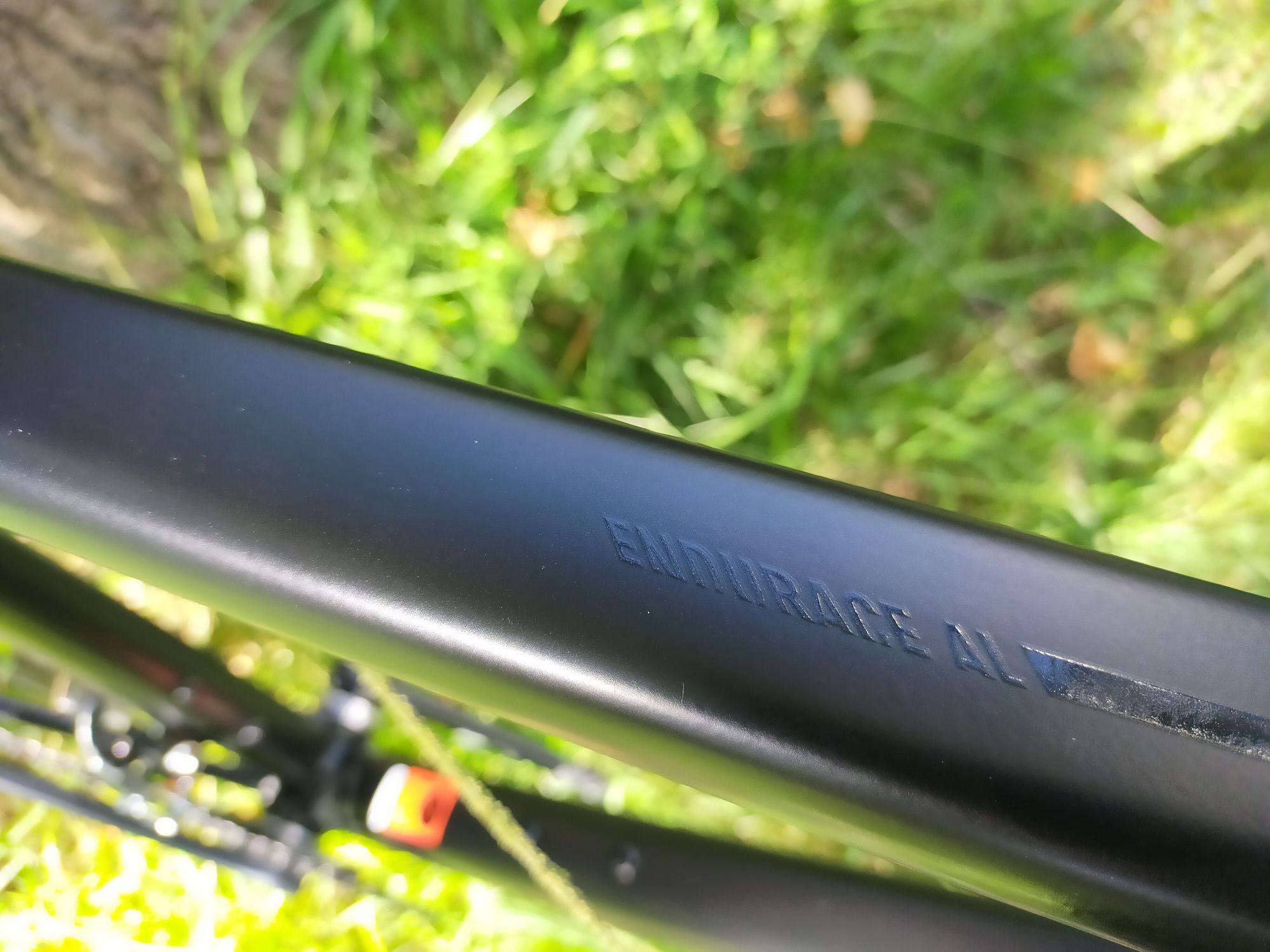 Canyon endurance AL 6 RB