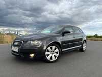 Audi A3 8p 2.0TDI