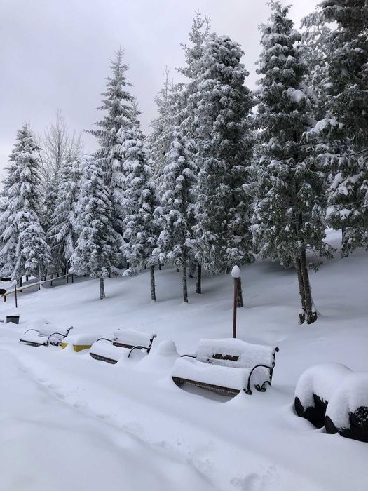 Готель “Карпатські Полонини” | 4 дні/3 ночі для чотирьох від 12900 грн