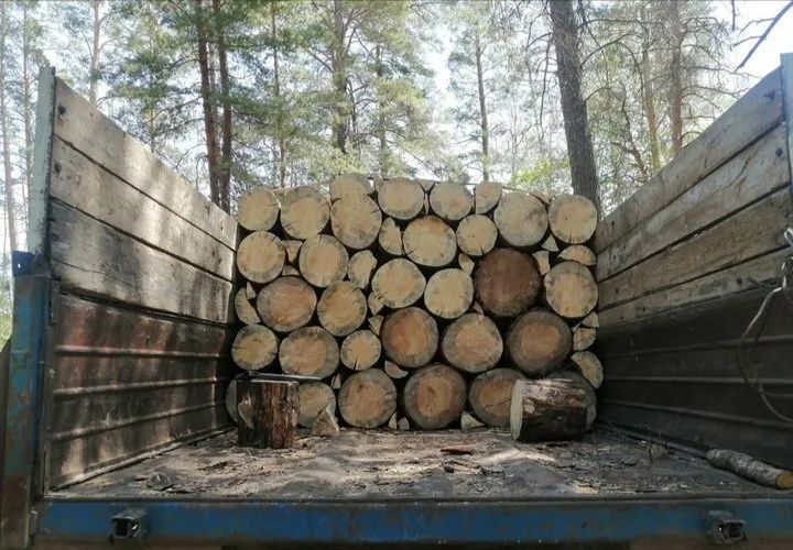 Продаємо дрова Твердих порід по акцій