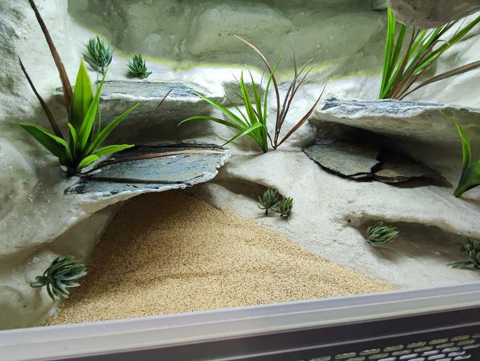 Terrarium pustynne nr543 60/40/40 dla gekona lamparciego NA ZAMÓWIENIE
