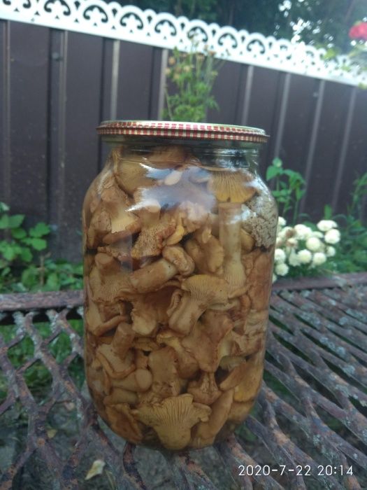 Гриби лисички мариновані