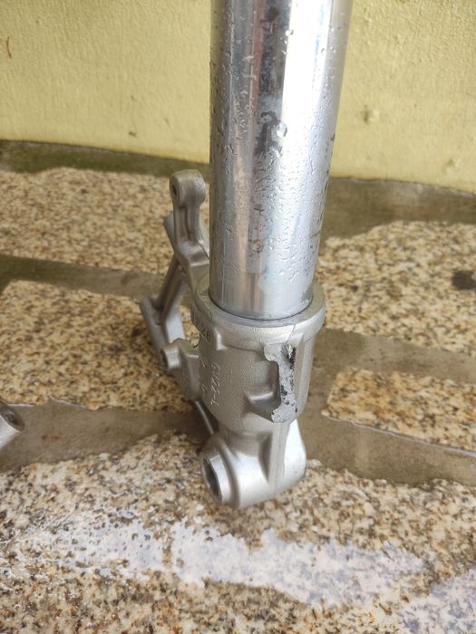 Bainhas forquilha tiger 900
