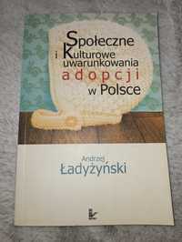 Społeczne i kulturowe uwarunkowana adopcji w Polsce. Adopcja