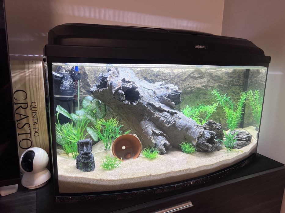 Decoração Aquario tronco com tuneis