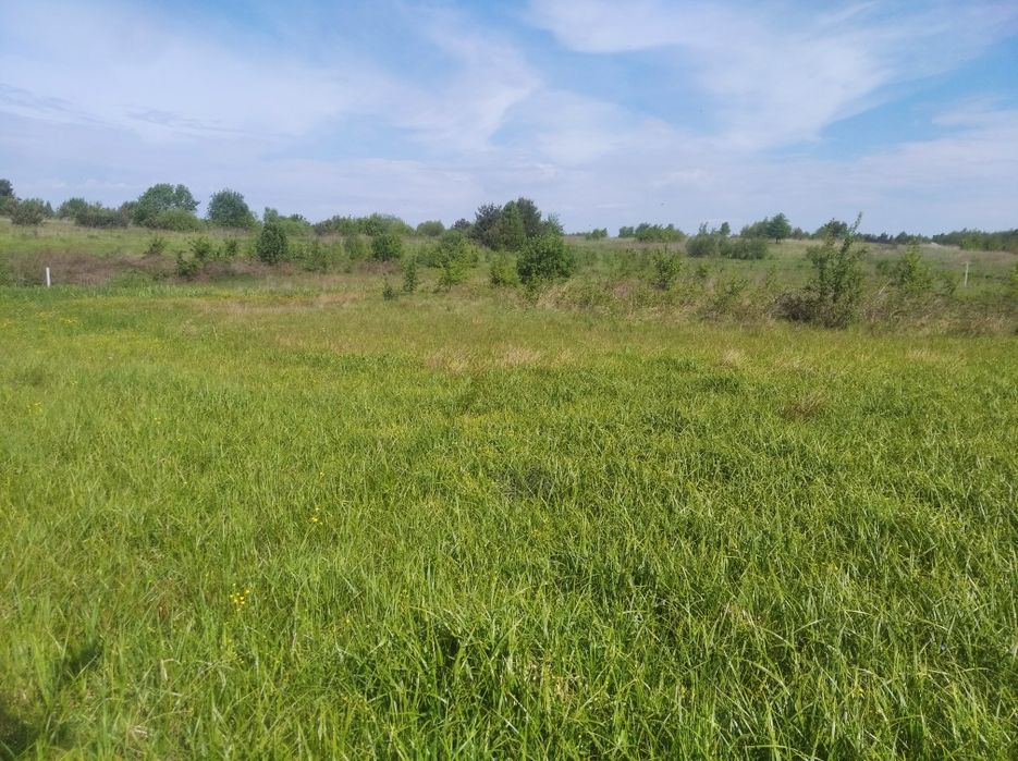 Стадники 40 сот ділянка під будівництво будинка котеджі тощо