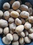 Batatas caseiras