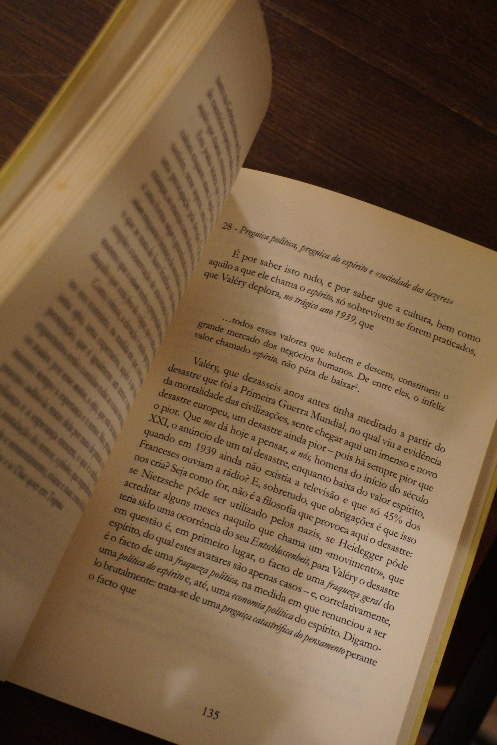 Descrença e Descrédito de Bernard Stiegler