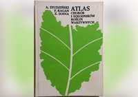 "Atlas chorób i szkodników roślin warzywnych - 1981