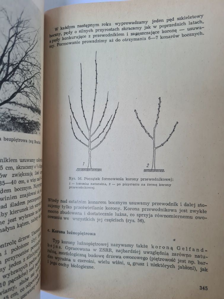 Wiadomości z ogrodnictwa - Książka