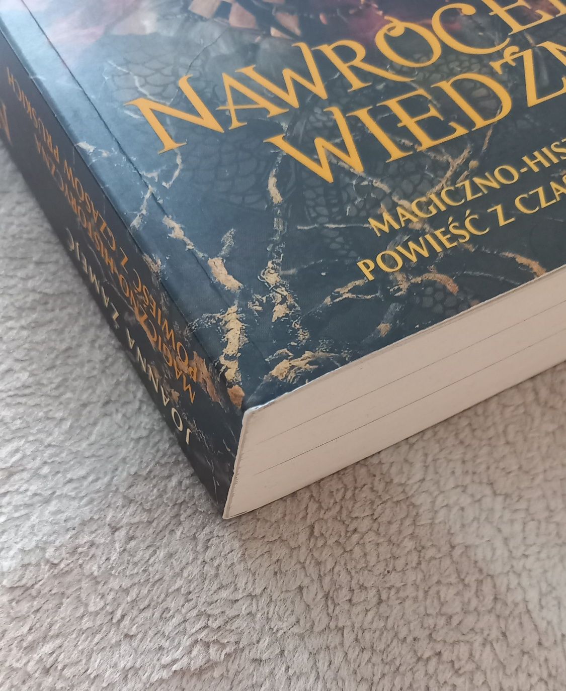 Nawrócenie wiedźmy Joanna Żamejć