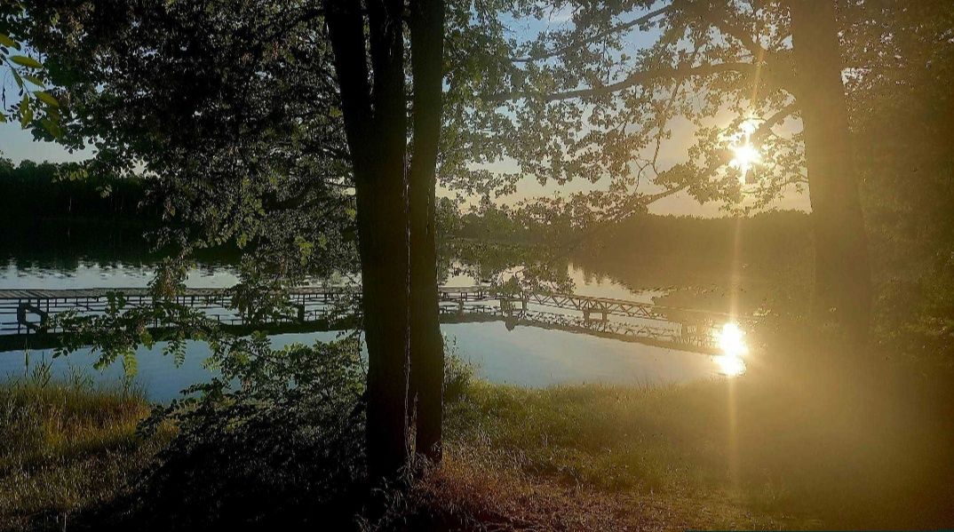 Nowy drewniany domek letniskowy – Skrzynki