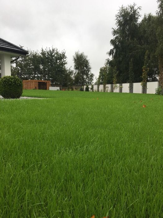 Nowoczesne ogrody i nawadnianie - zieleń, która cieszy latami