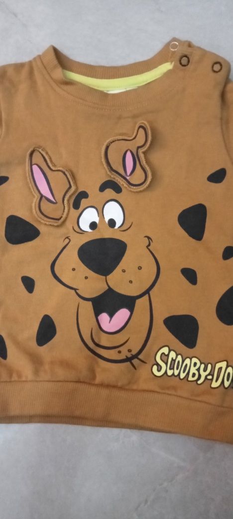 Bluza Disney Scooby-Doo 80