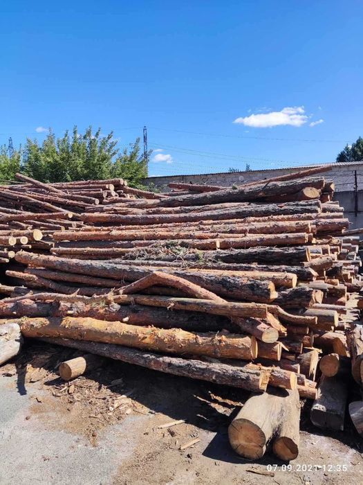 Обаполок из сосны, дрова