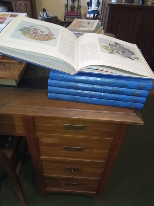 5 livros de lavores com mais de vinte anos