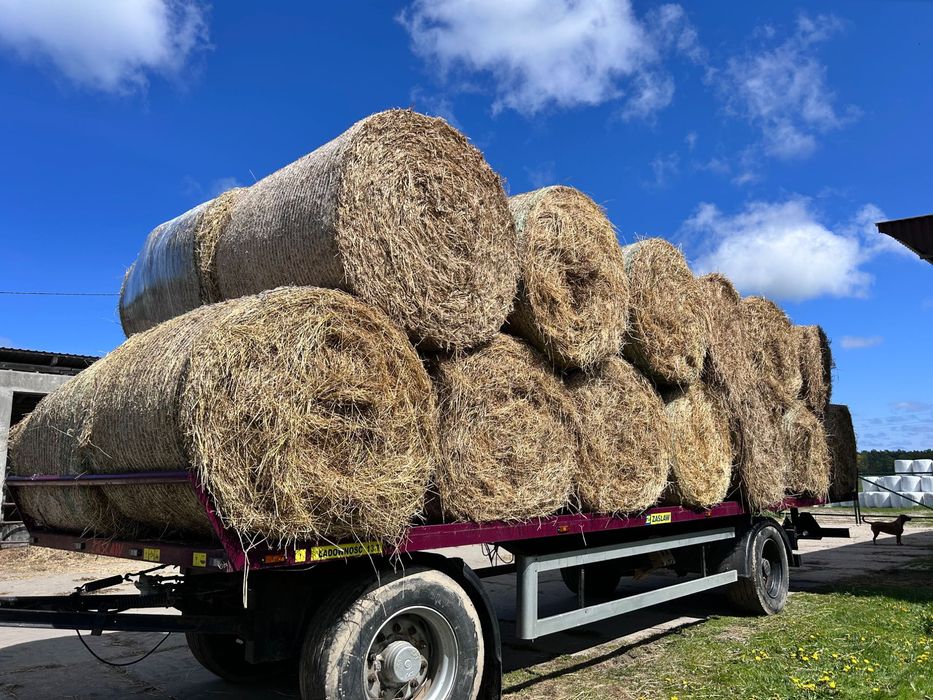 Siano DUŻE bele 130x125 FV, transport