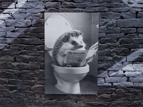 Obraz Jeż w toalecie - Sztywny plakat na ścianę