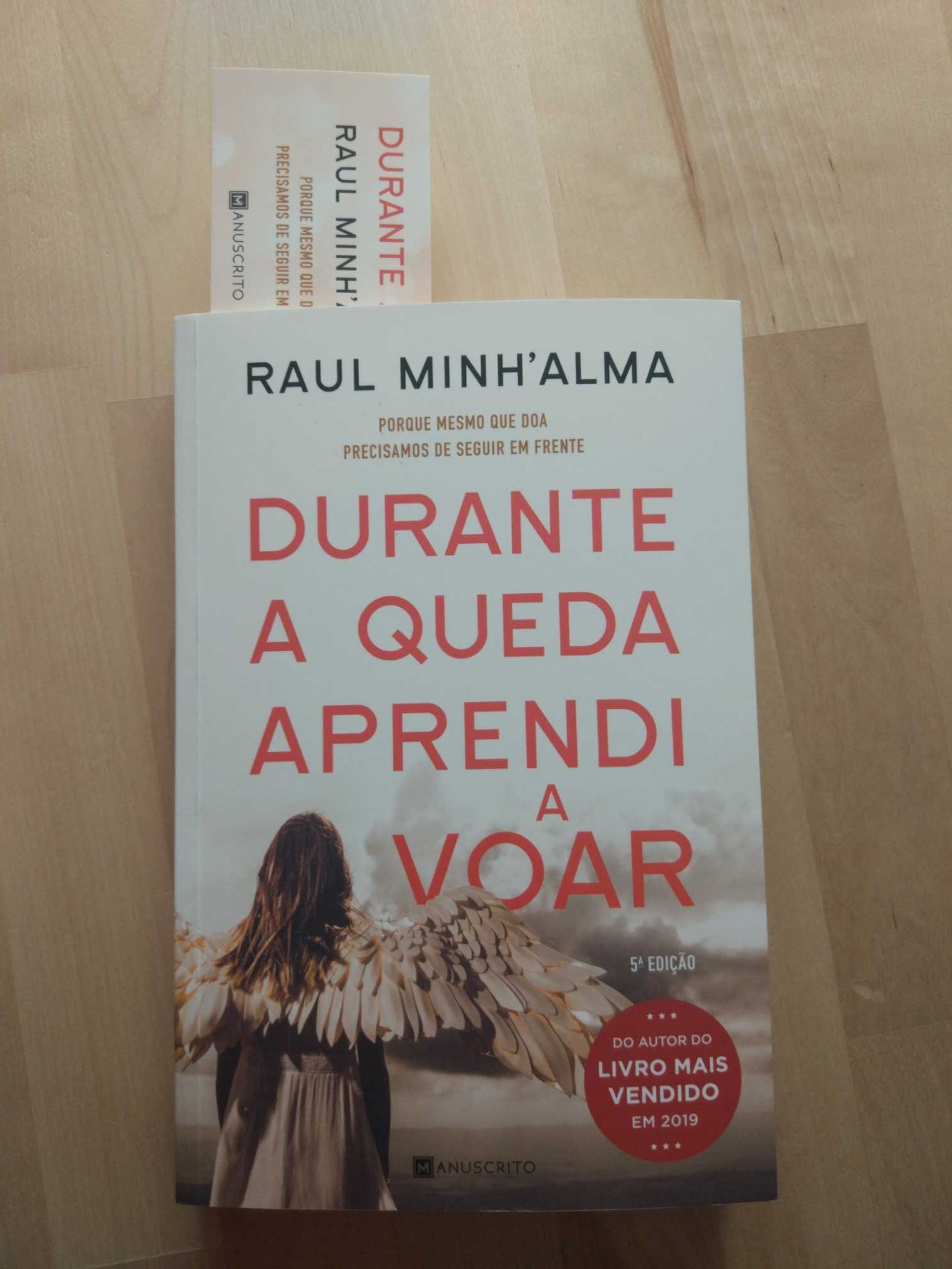 Livro Raul Minh'Alma Novo