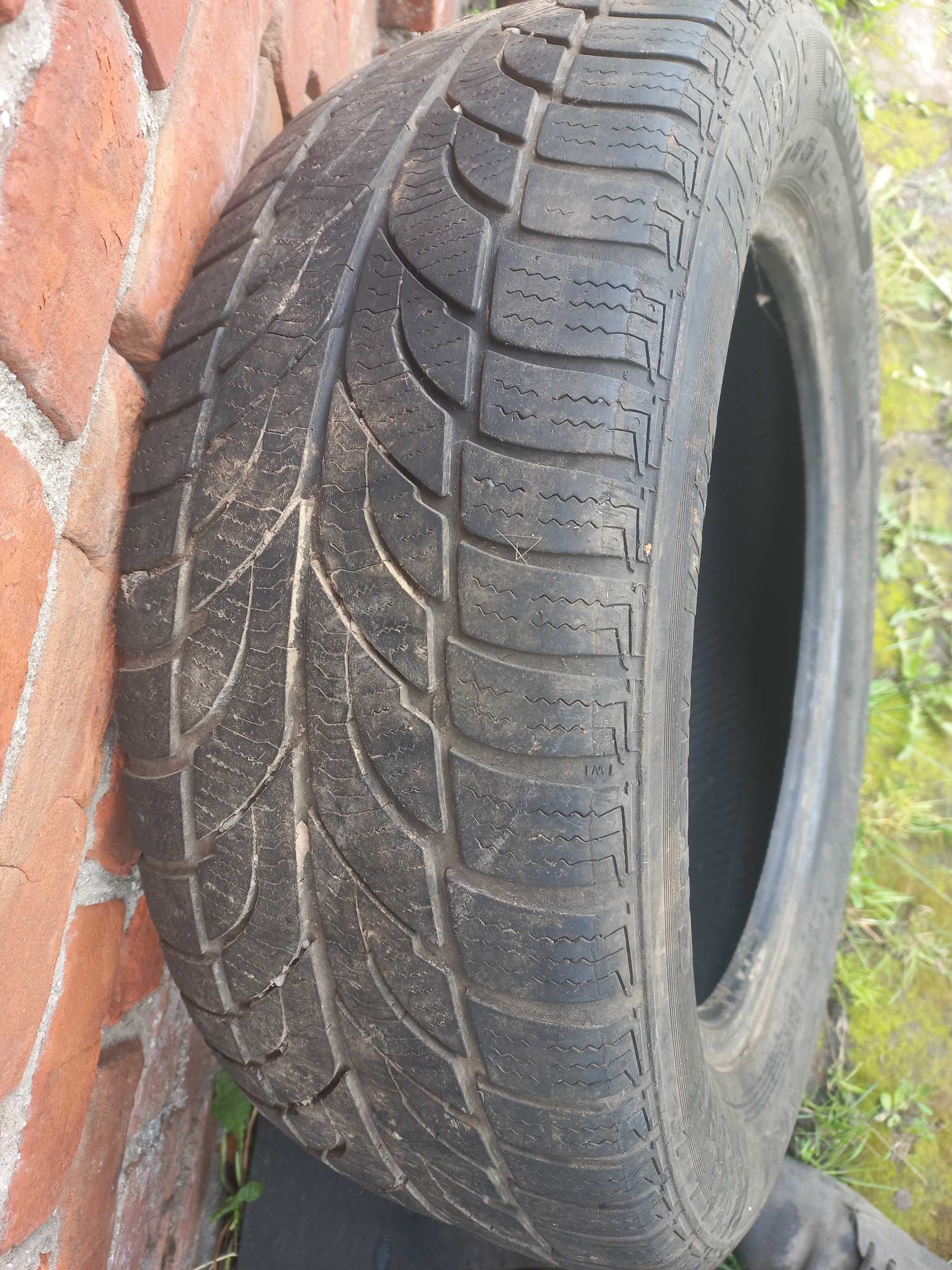 Резина Sportiva snow win 205/55 R16