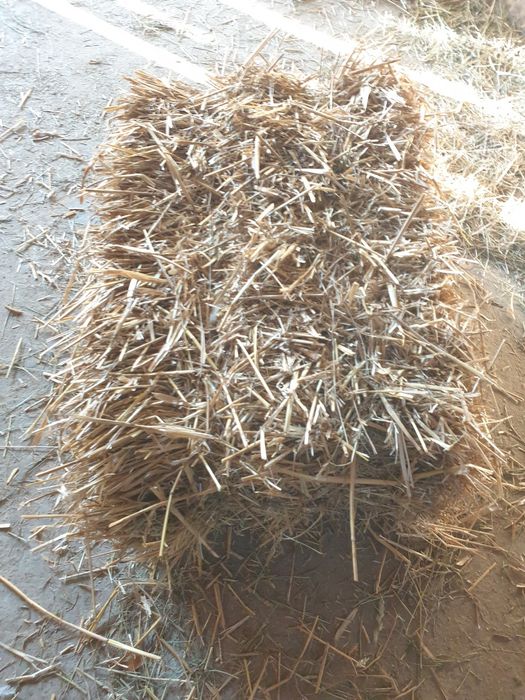 Sprzedam slome w kostkach