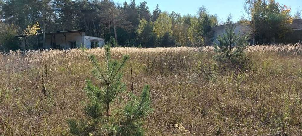 Działki 2,09 ha zabudowa mieszkaniowa i usługowa KOLONIA ZAWADY