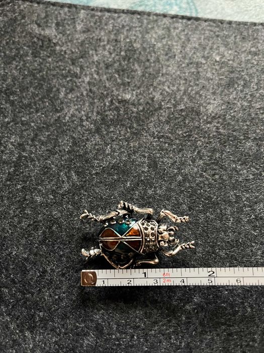 Duża przypinka broszka owad