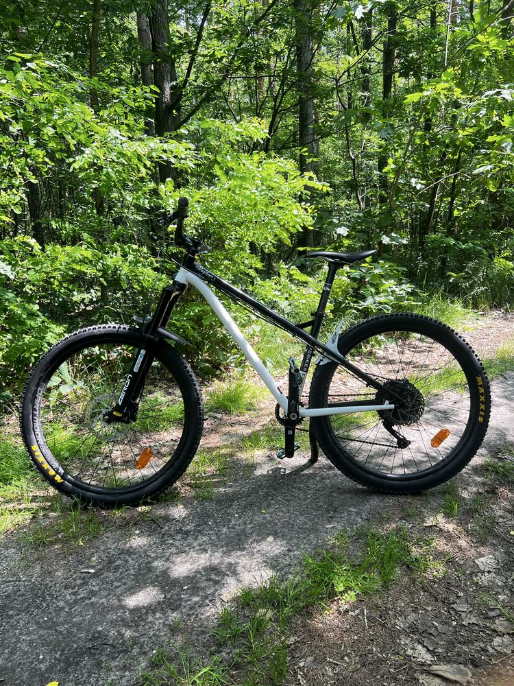 NS Bikes Eccentric [Dh, Enduro, fr, hardtail]