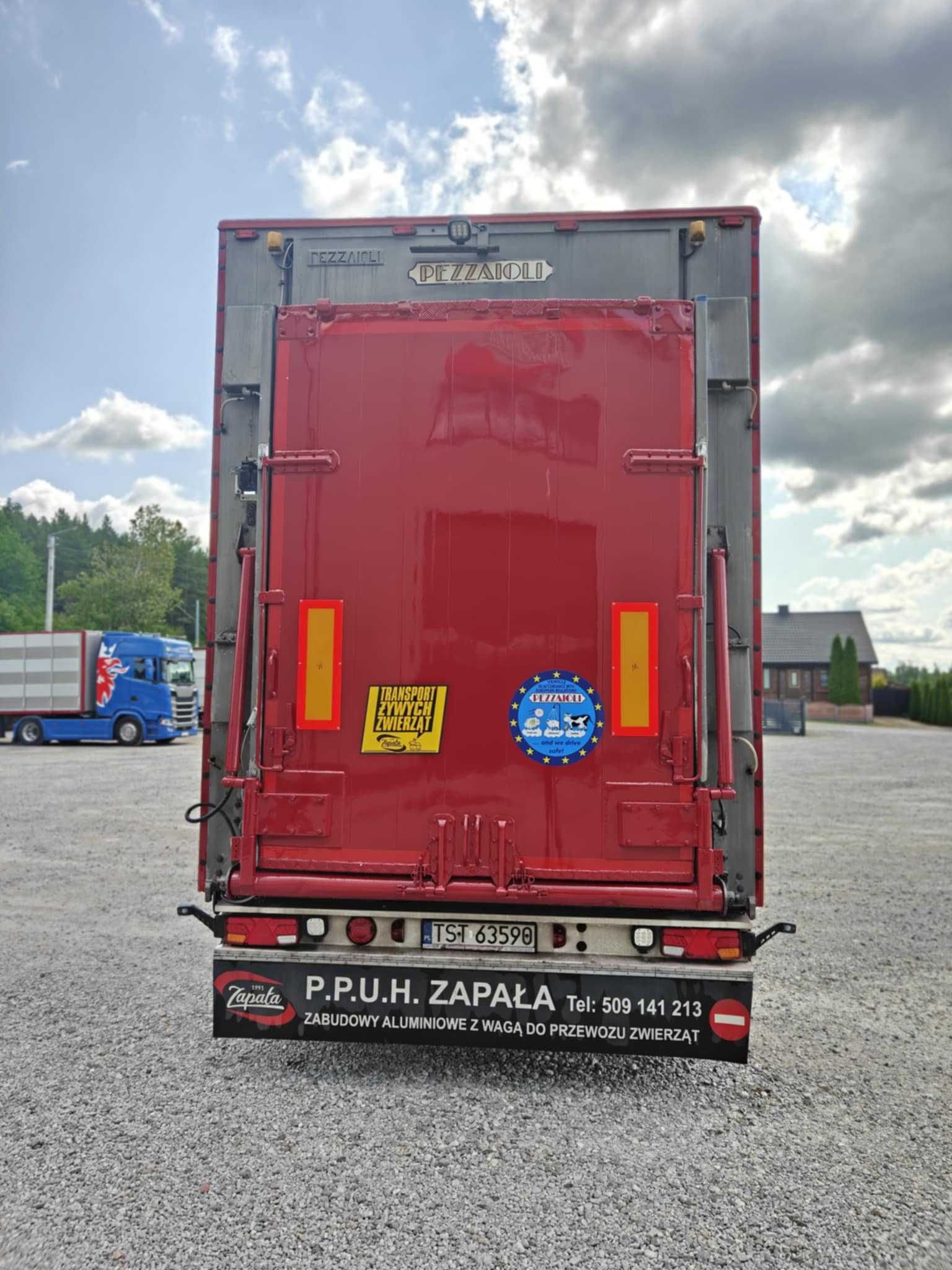 Do zwierząt, żywca, bydła naczepa Pezzaioli
