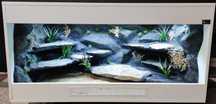 Terrarium dla agamy brodatej 120x60x60 Petmarket