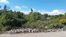 Lote de terreno Rustico em Sitio dos Agostos