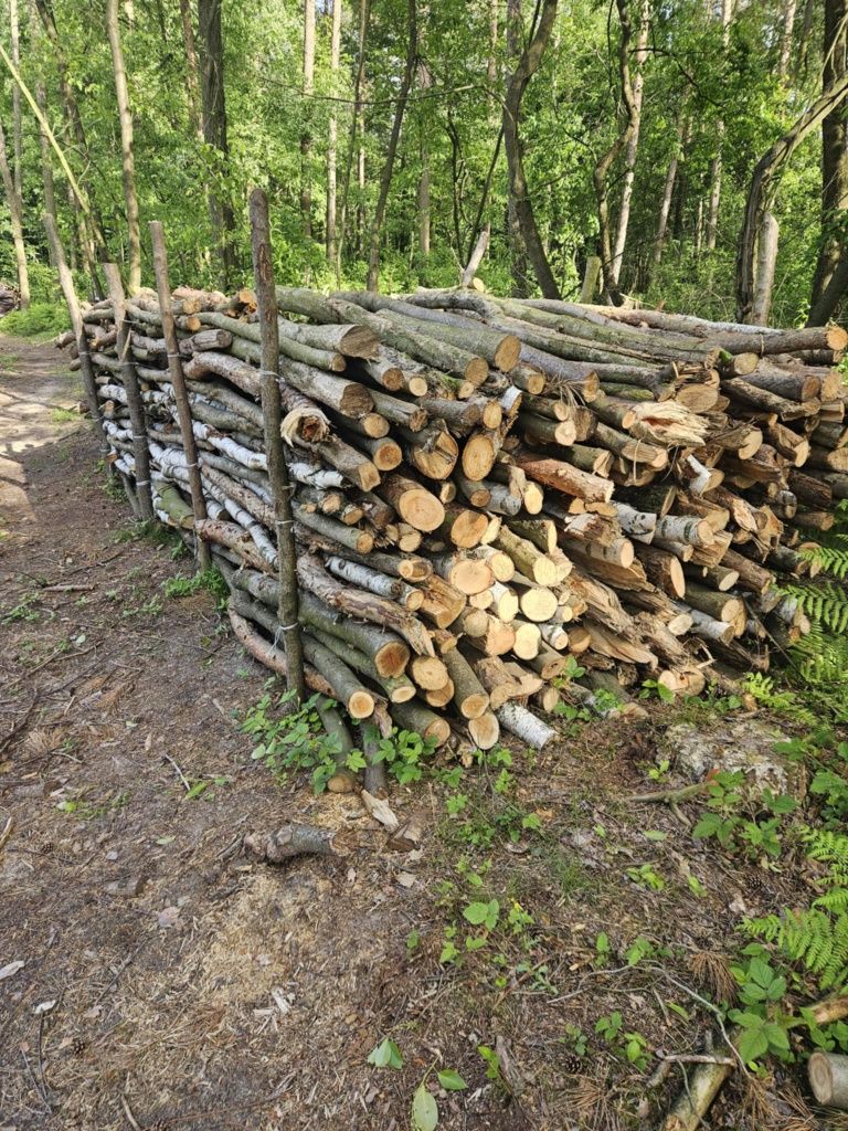 sprzedam drewno opałowe