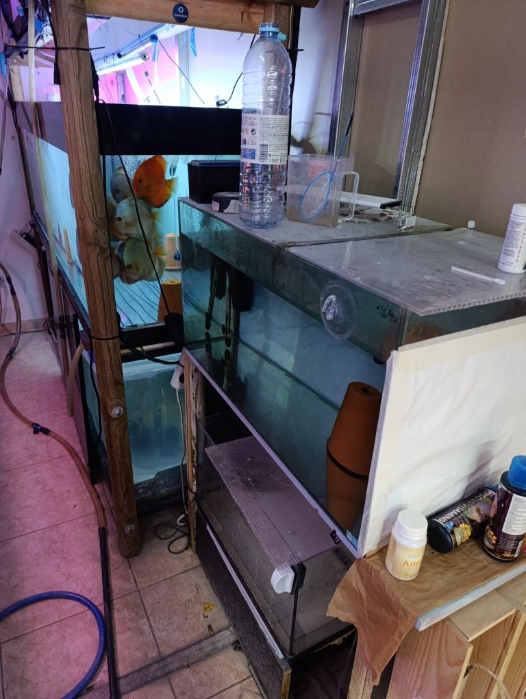 Aquários e material de aquariofilia