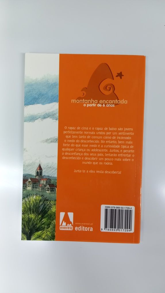 Livro Rapaz de Cima Rapaz de Baixo