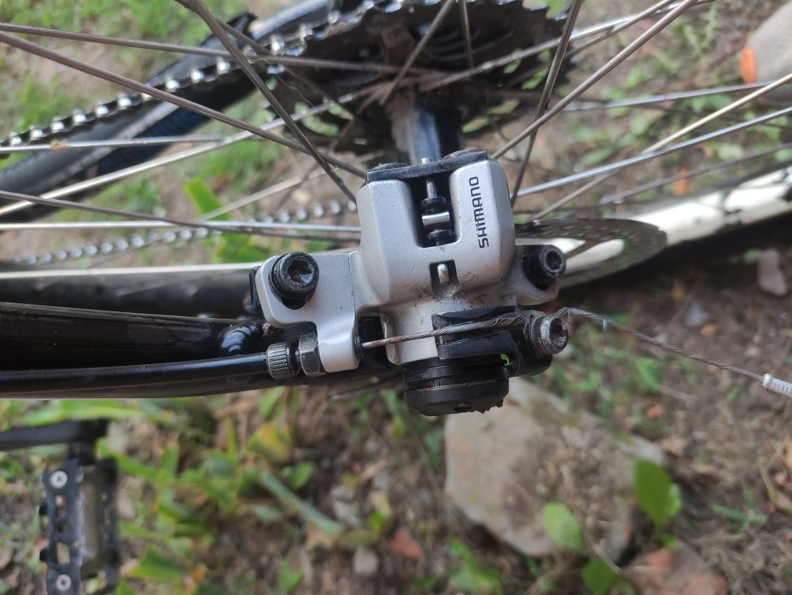 Scott Aspect 2012