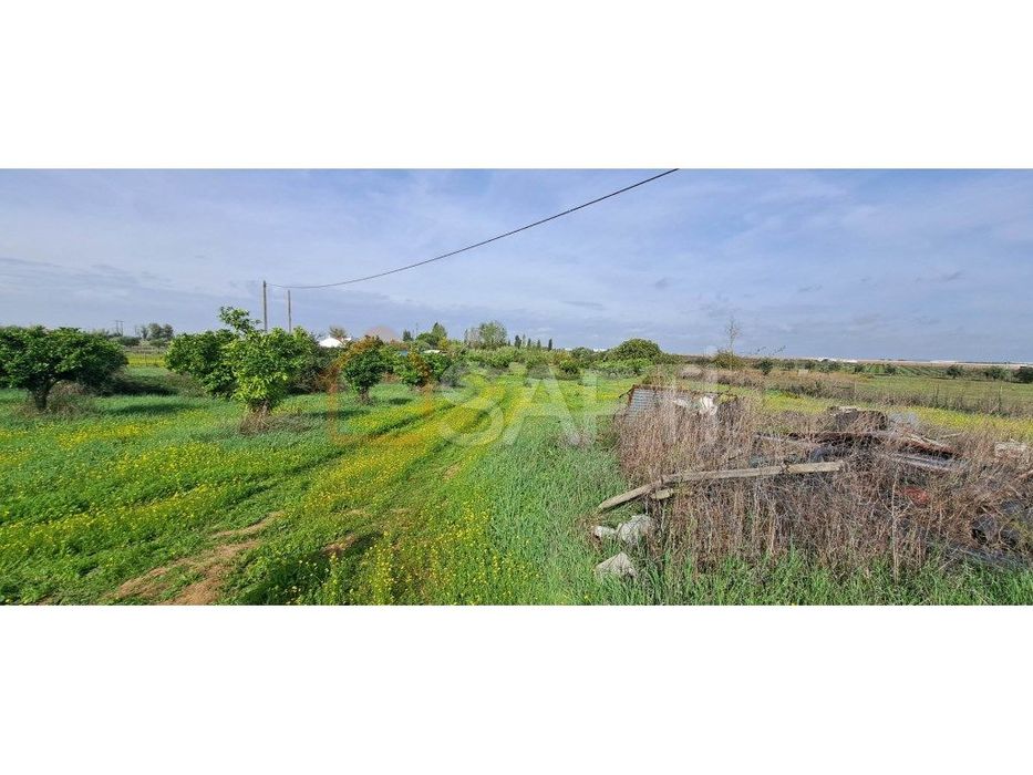 Terreno (10175 m2) no Alentejo com água e luz